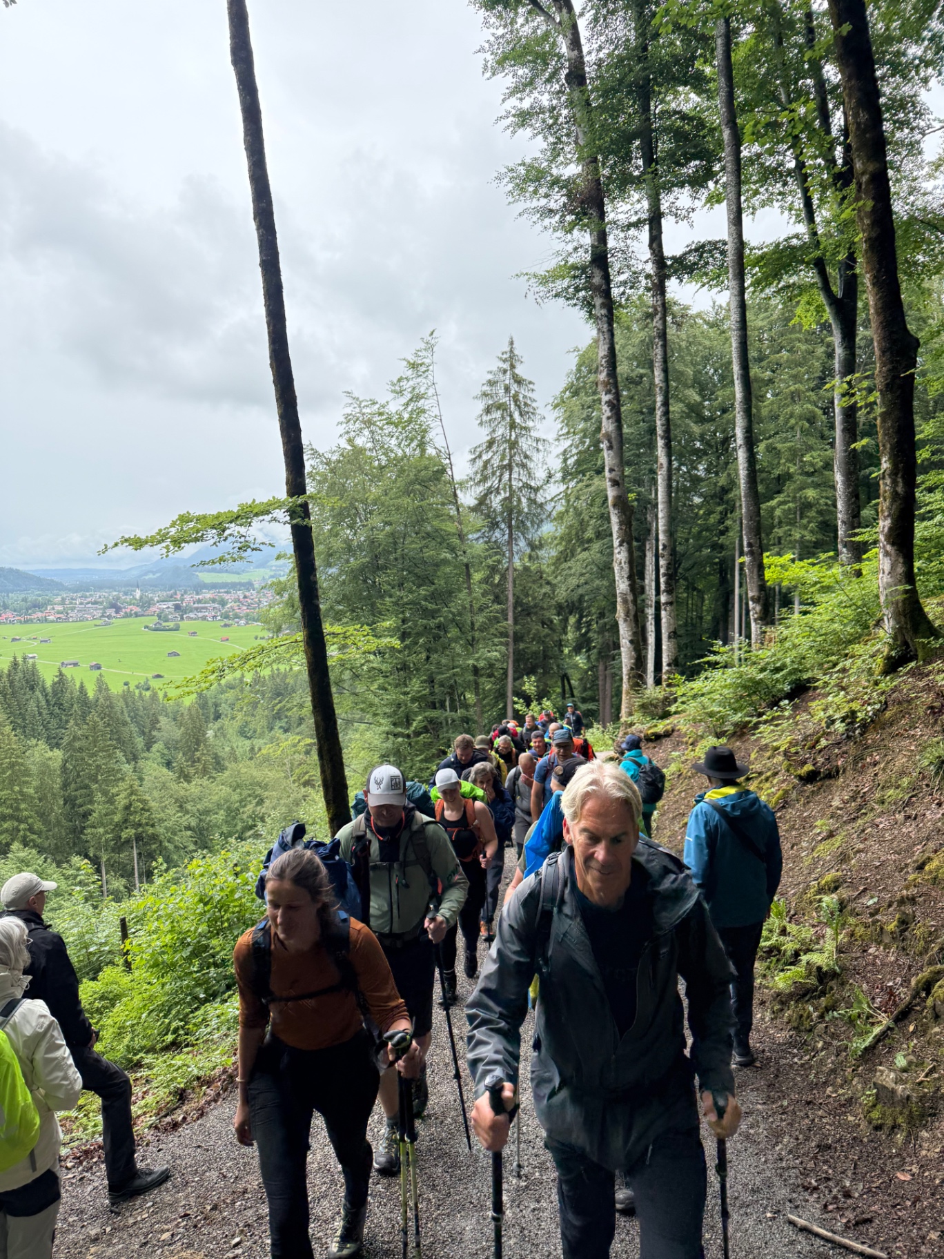 Aufstieg durch den Bergwald
